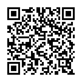 QR 4b86a11
