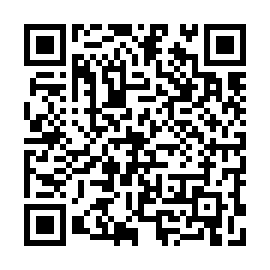 QR 4bd3334