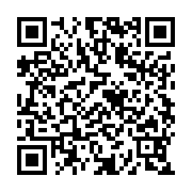 QR 4c93b22