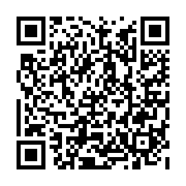 QR 4d0569d