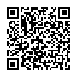 QR 4d0a19a