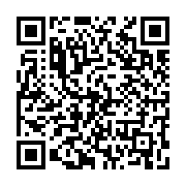 QR 4d1381d