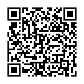 QR 4d38f13