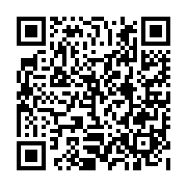 QR 4d39313