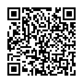 QR 4d538df