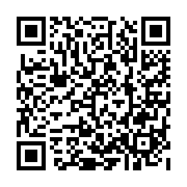QR 4d5b538