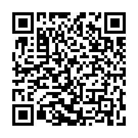 QR 4d85f58