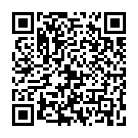 QR 4db3811