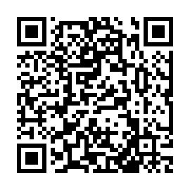 QR 4dc1a03