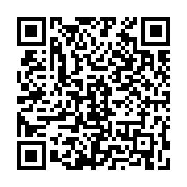 QR 4dc963b