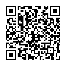 QR 4ddc011