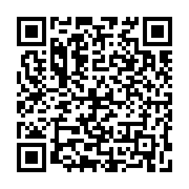 QR 4dfe311