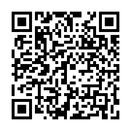 QR 4e0ead9