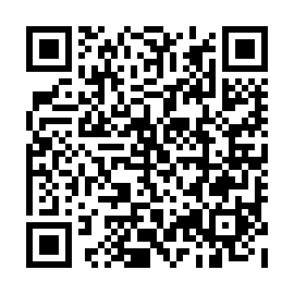 QR 4e24a03