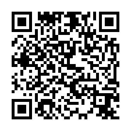 QR 4e29065