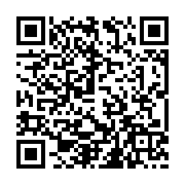 QR 4e313fb