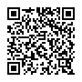 QR 4e85001