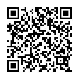 QR 4e88132