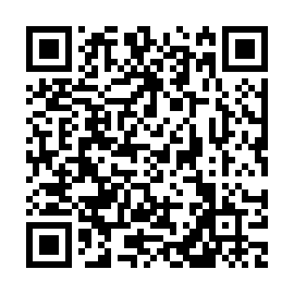 QR 4f63e29