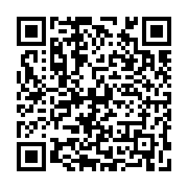 QR 4fe6311