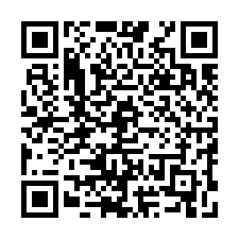 QR 500b29e