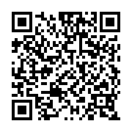 QR 506d333