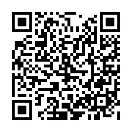 QR 509f133