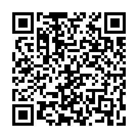 QR 513880a