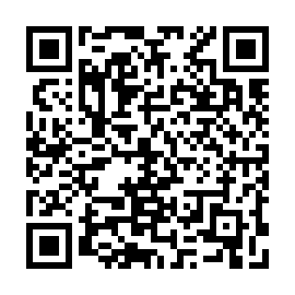 QR 513b241