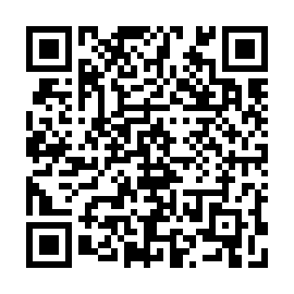 QR 515387b