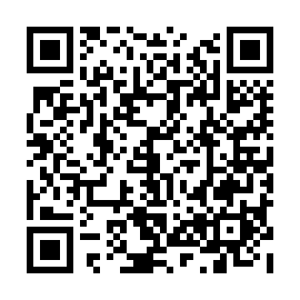 QR 519d095