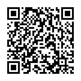 QR 51a0495