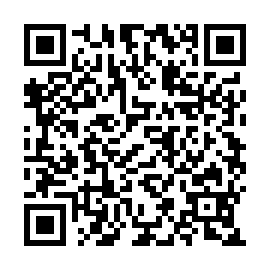 QR 51c13a2