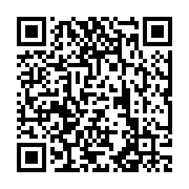 QR 51e3033