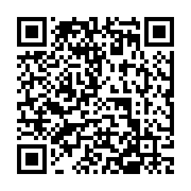 QR 51ee91b