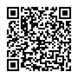 QR 51fe731