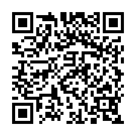 QR 528b17a