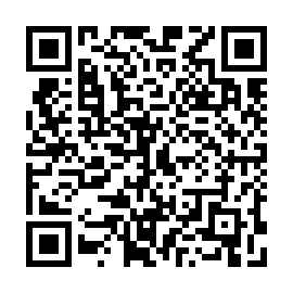 QR 529a463