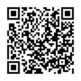QR 52c8804