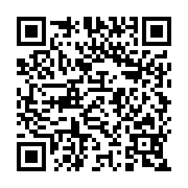 QR 52e393a