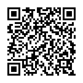 QR 53115af