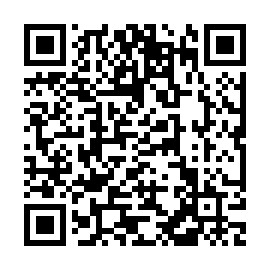 QR 532fe13