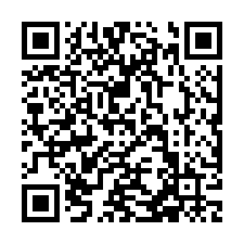 QR 53381a6
