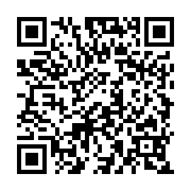 QR 53386e8
