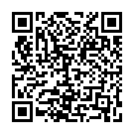QR 533a133