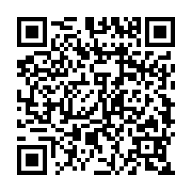 QR 533ab0d