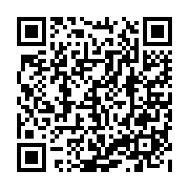 QR 535b065