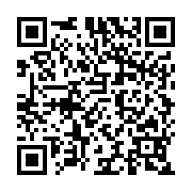 QR 536ae81