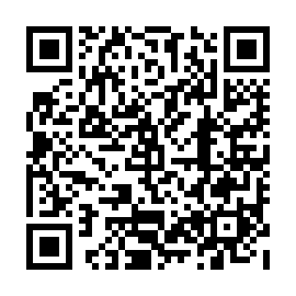 QR 536cd33