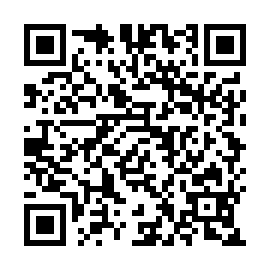 QR 53853ea
